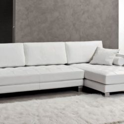 pelle 2019 05