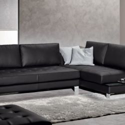 pelle 2019 05